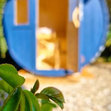 Bluenote Loissin